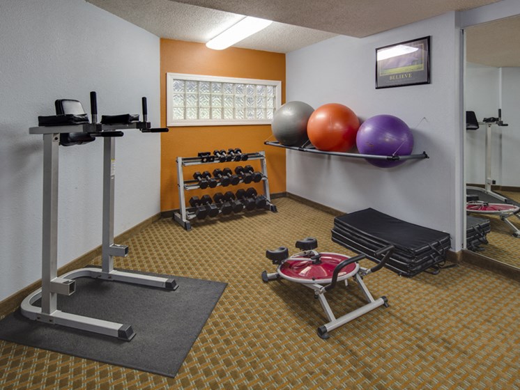 Fitness center with weights and yoga balls