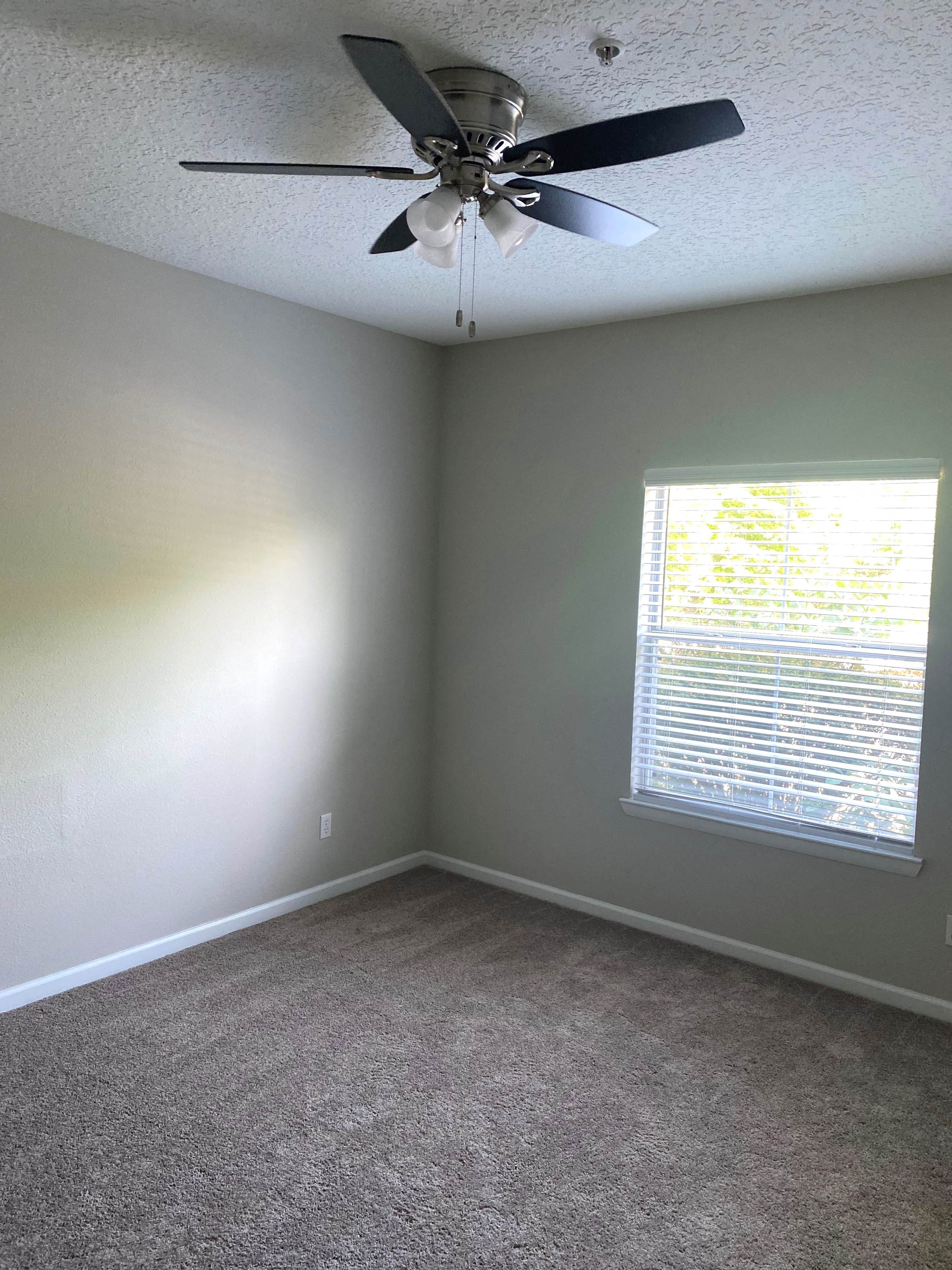 Gallery Photo 13