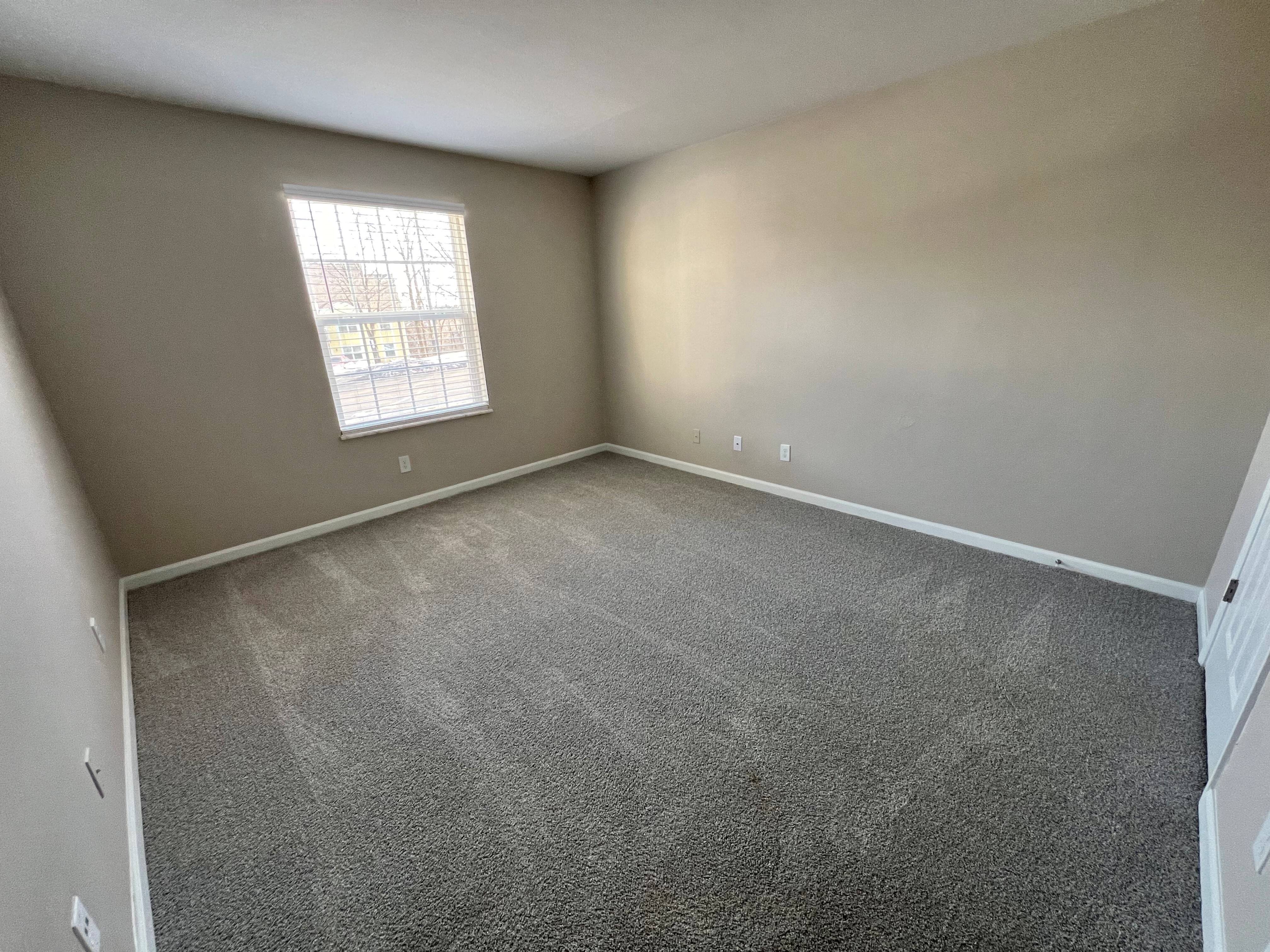 Gallery Photo 28