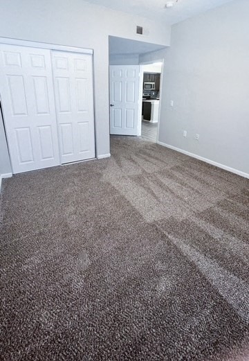 Gallery Photo 19