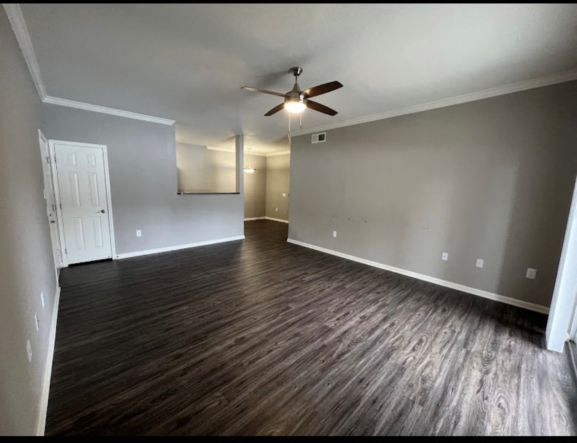 Gallery Photo 16