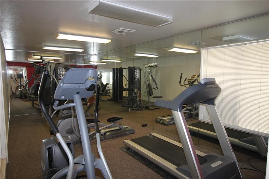Gallery Photo 19