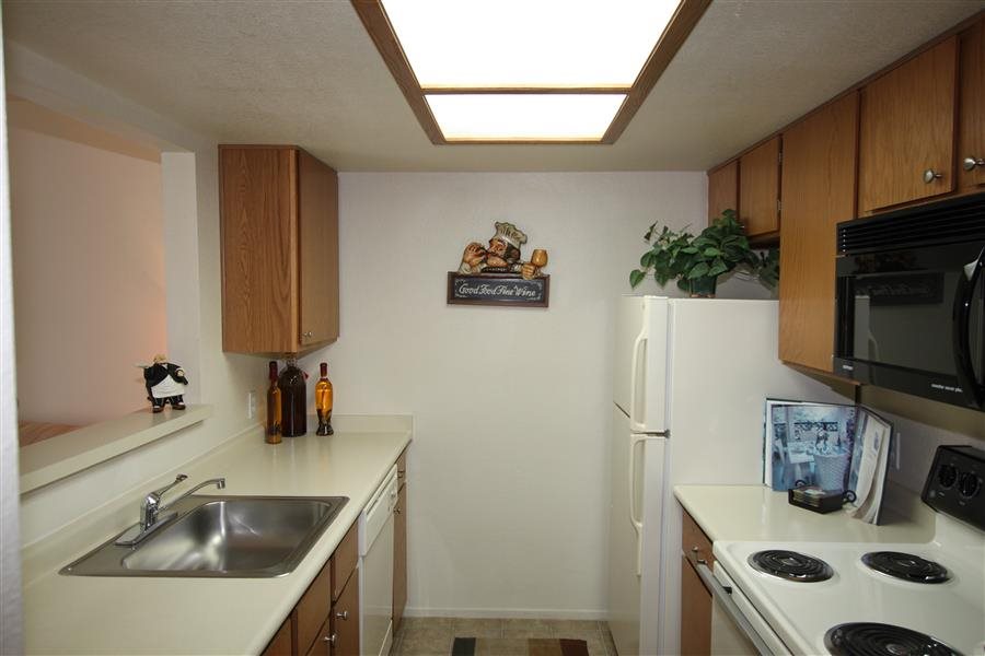 Gallery Photo 31