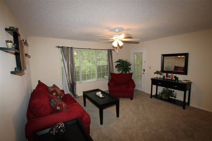 Gallery Photo 25