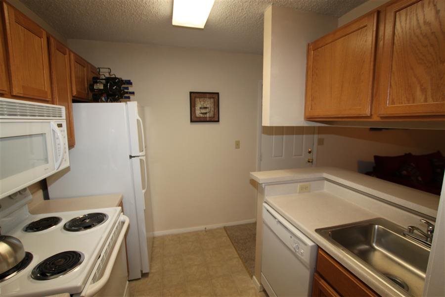 Gallery Photo 29