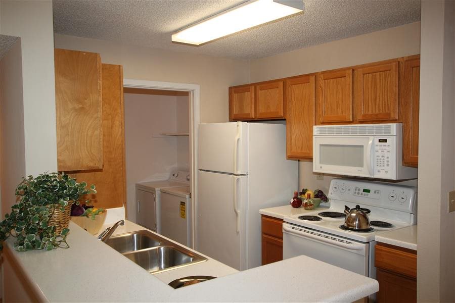 Gallery Photo 31