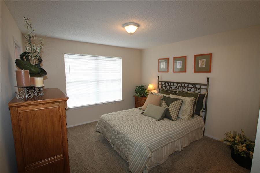 Gallery Photo 38
