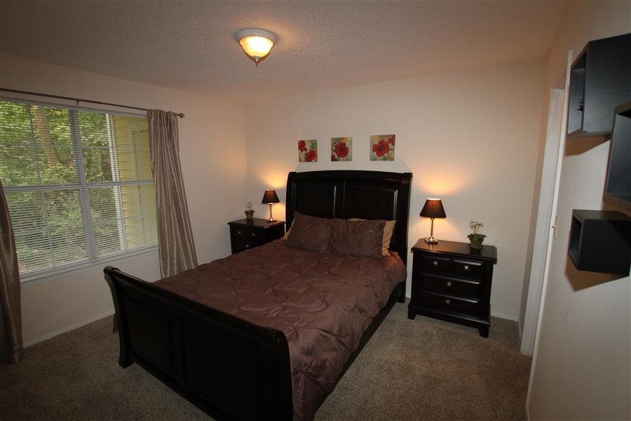 Gallery Photo 42