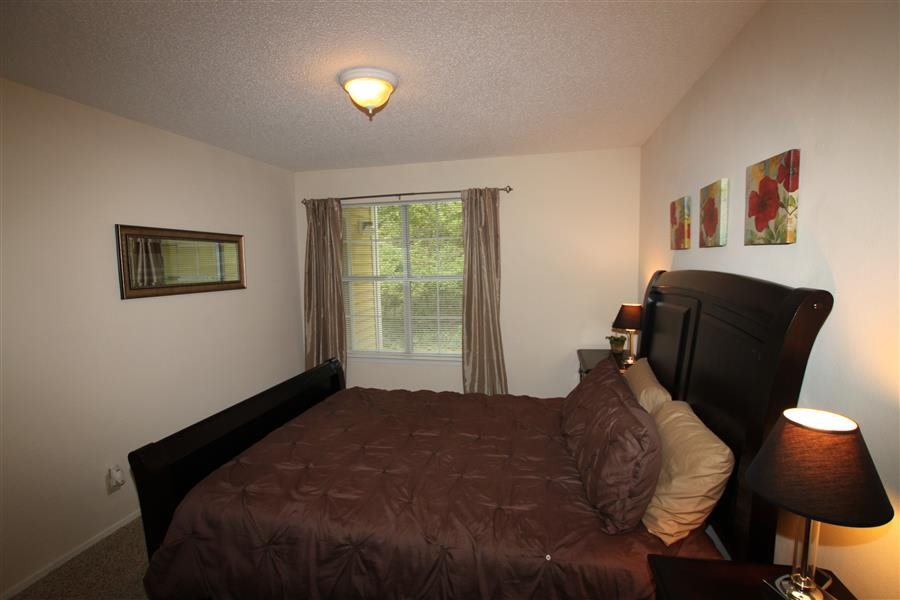 Gallery Photo 43