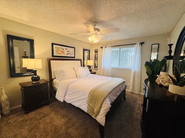 Gallery Photo 17