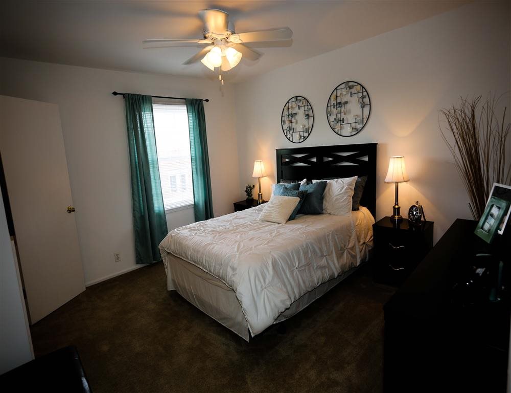 Gallery Photo 16