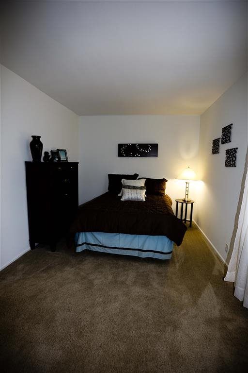 Gallery Photo 17