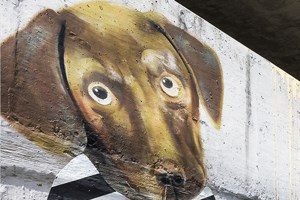 Burnet Flats Pet Park
