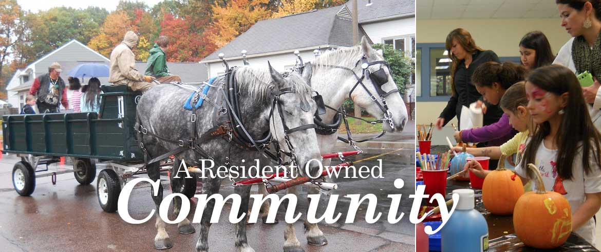 Resident Owned Community - harvest fest