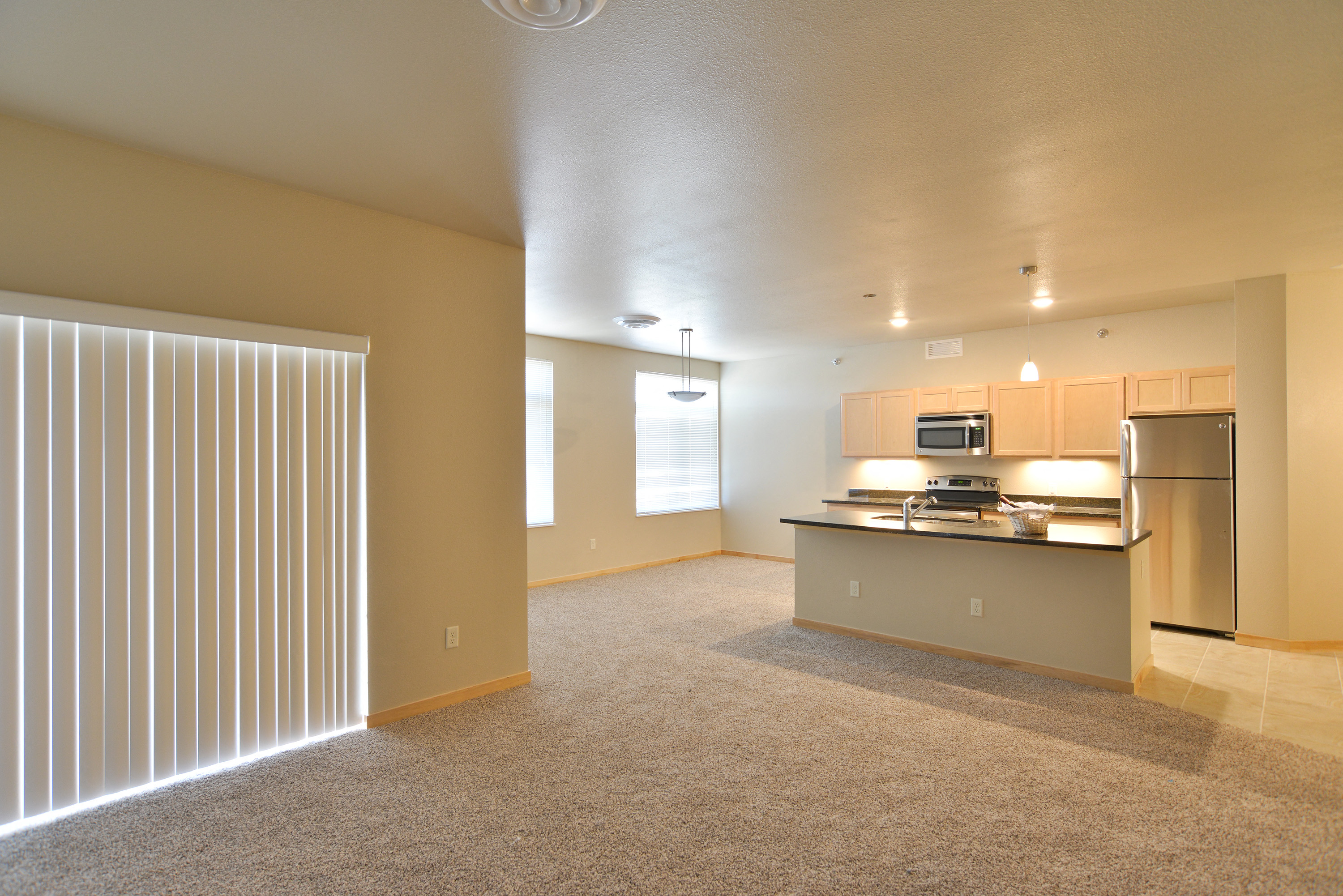 Gallery Photo 4