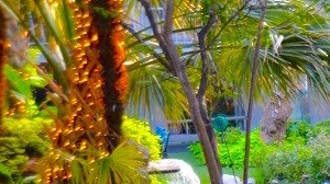 5400 Live Oak Le Parc Courtyard