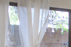 5200 Gaston Greenhouse Chic Living