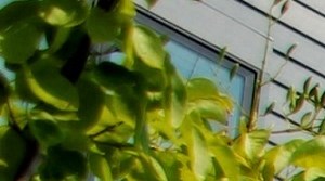 Auxiliary Court Apartments in West Bend, WI