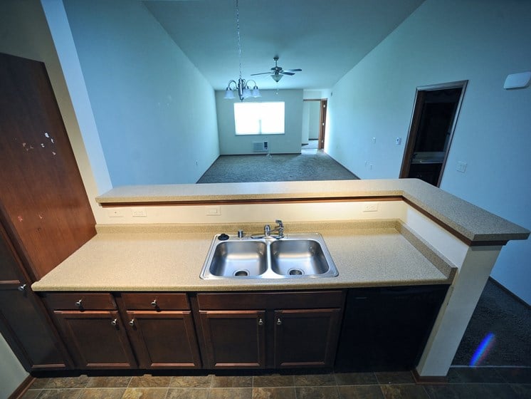 Kitchen Sink & Living Room