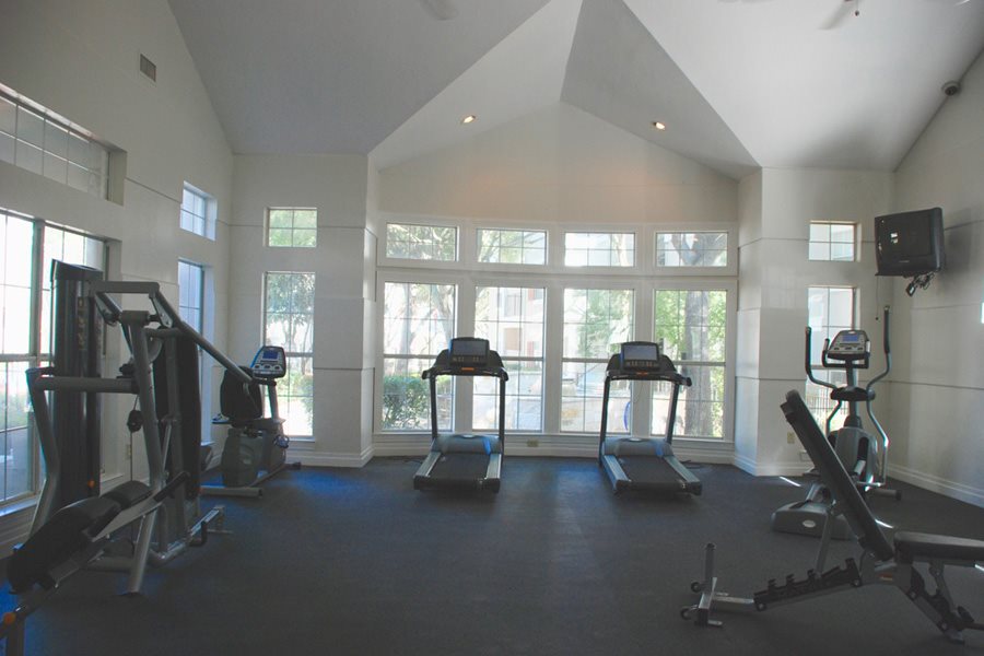 Gallery Photo 10
