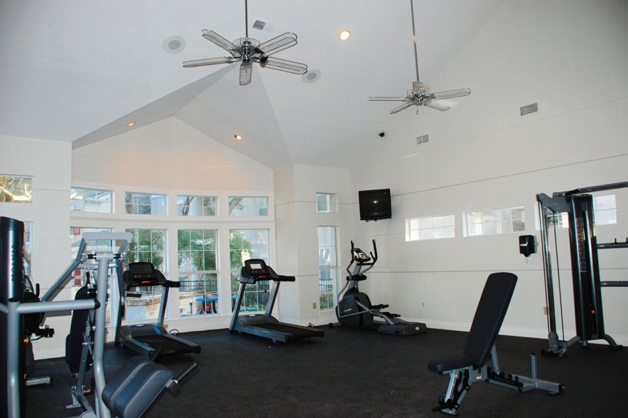 Gallery Photo 11