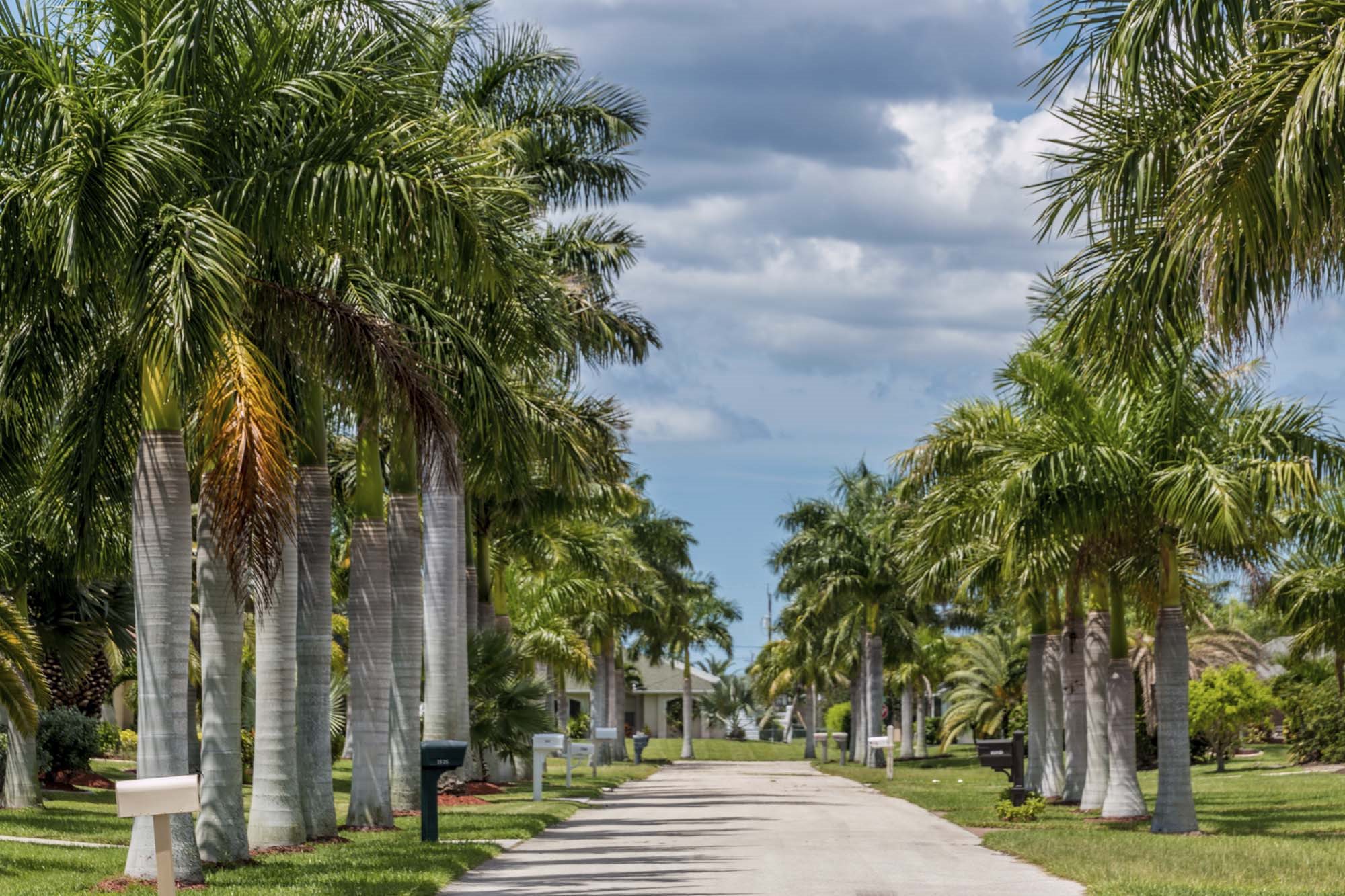 Beautiful Surrounding with Palm Trees at Waverly, West Palm Beach, FL