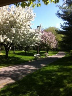 Gallery Photo 4