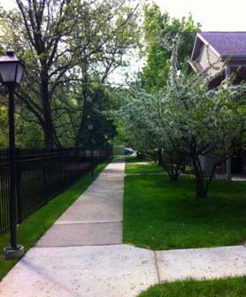 Gallery Photo 5