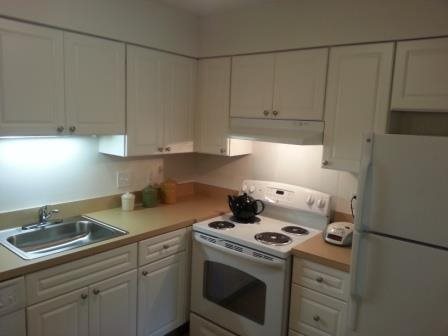 Gallery Photo 7