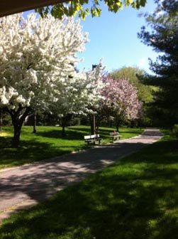 Beautiful Landscaping!