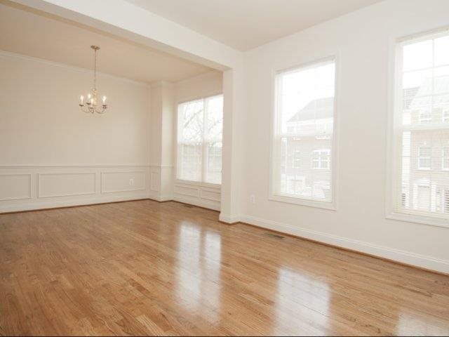 Gallery Photo 7