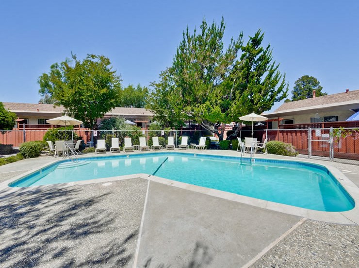 Sunnyvale CA Apartments-Cherry Blossom Swimming Pool Surrounded by Lounge Chairs and Shaded Tables and Chairs