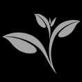 Turkey Tower Apartments Logo, Turkey