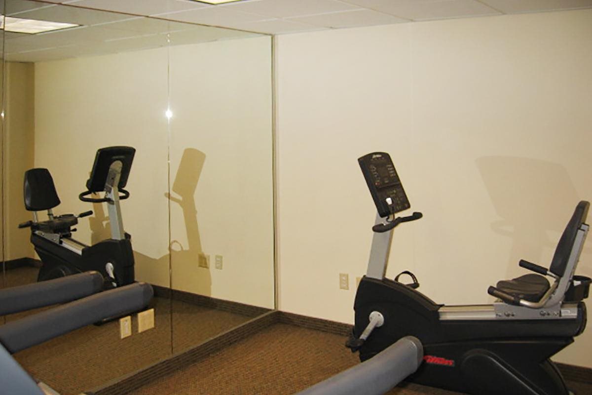 Gallery Photo 14