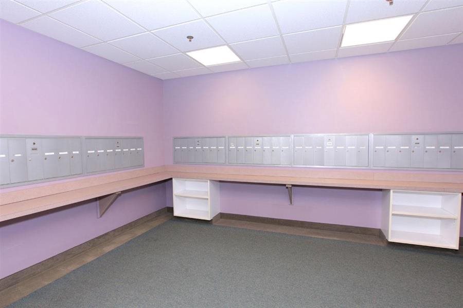 Gallery Photo 10
