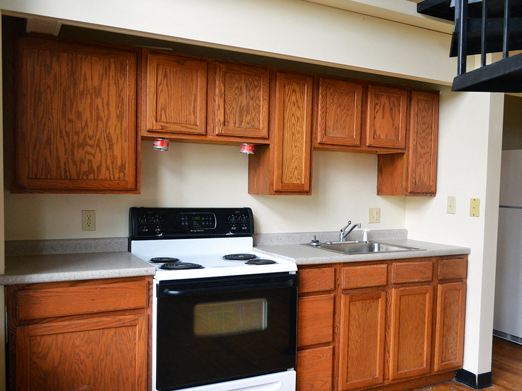 Gallery Photo 7