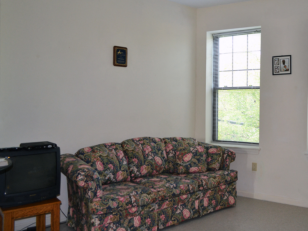 Gallery Photo 5