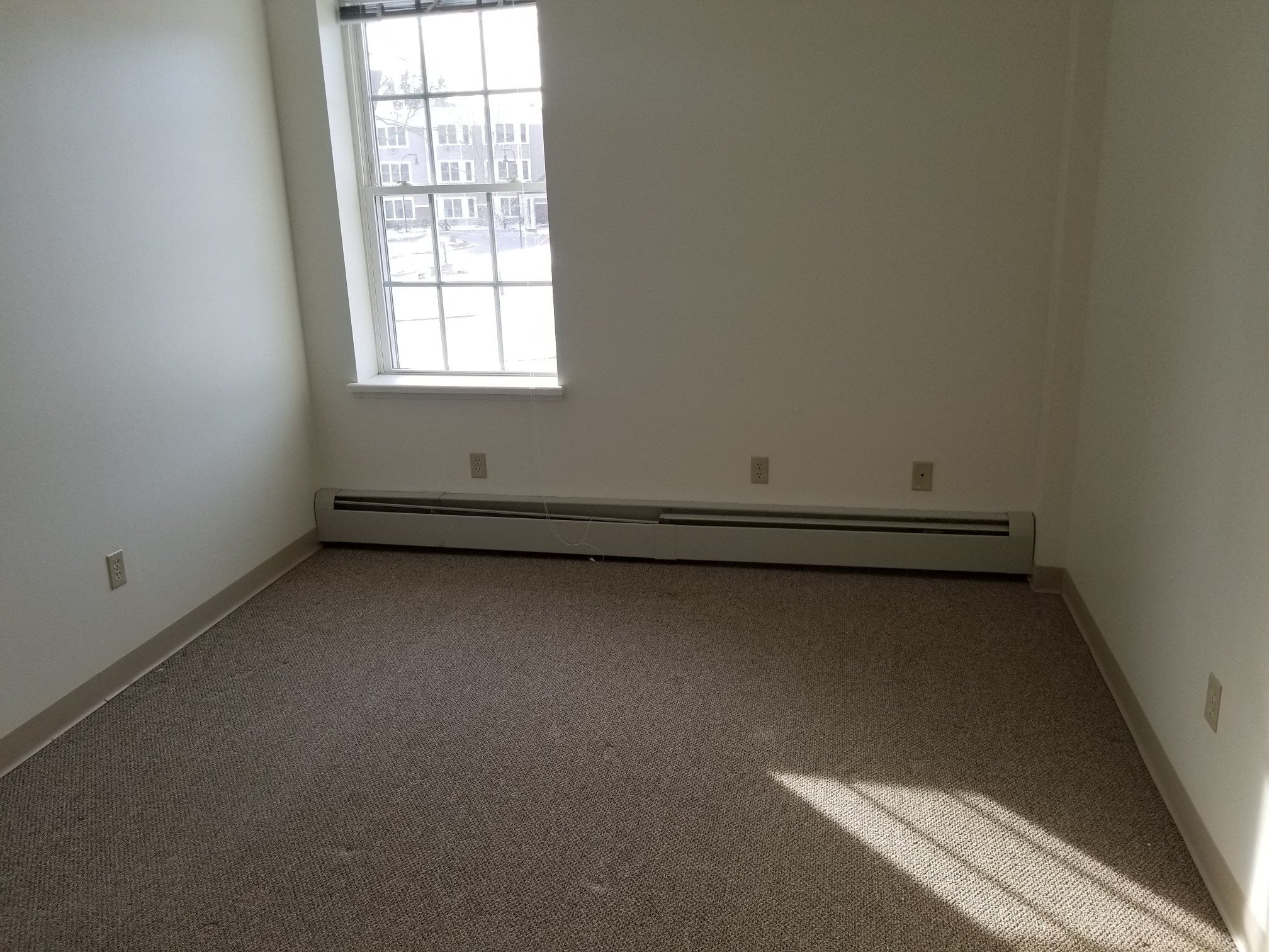 Gallery Photo 16
