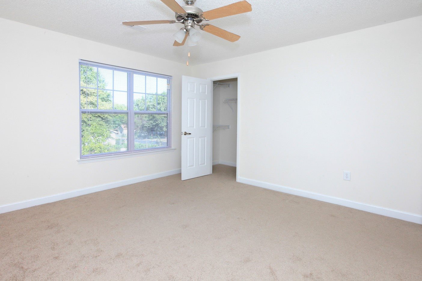 Gallery Photo 36