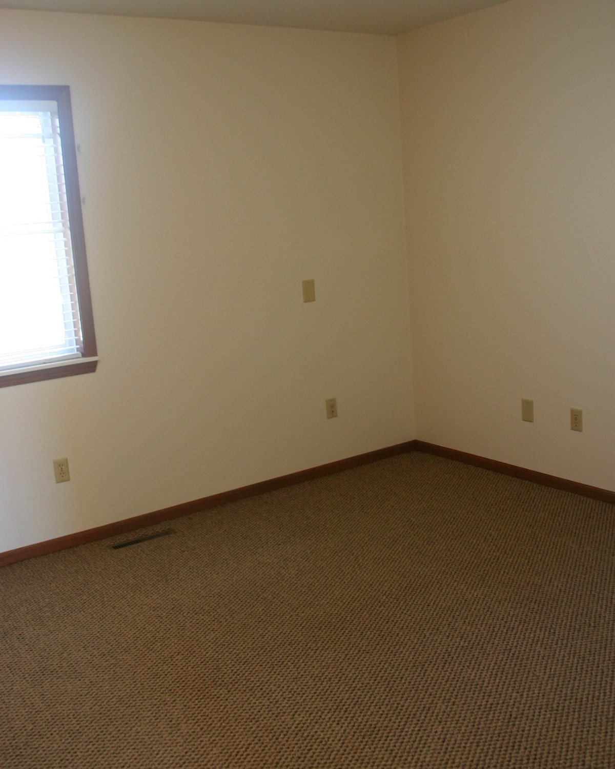 Photos and Video of Westgate Townhomes in New Prague, MN