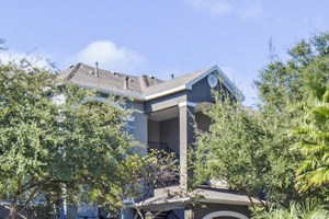 Nolina Flats - Sparkling Pool Surrounded by Beautiful Landscaping and Lounge Seating