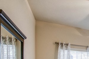 Abelia Flats - Spacious carpeted bedrooms with ceiling fan and natural light