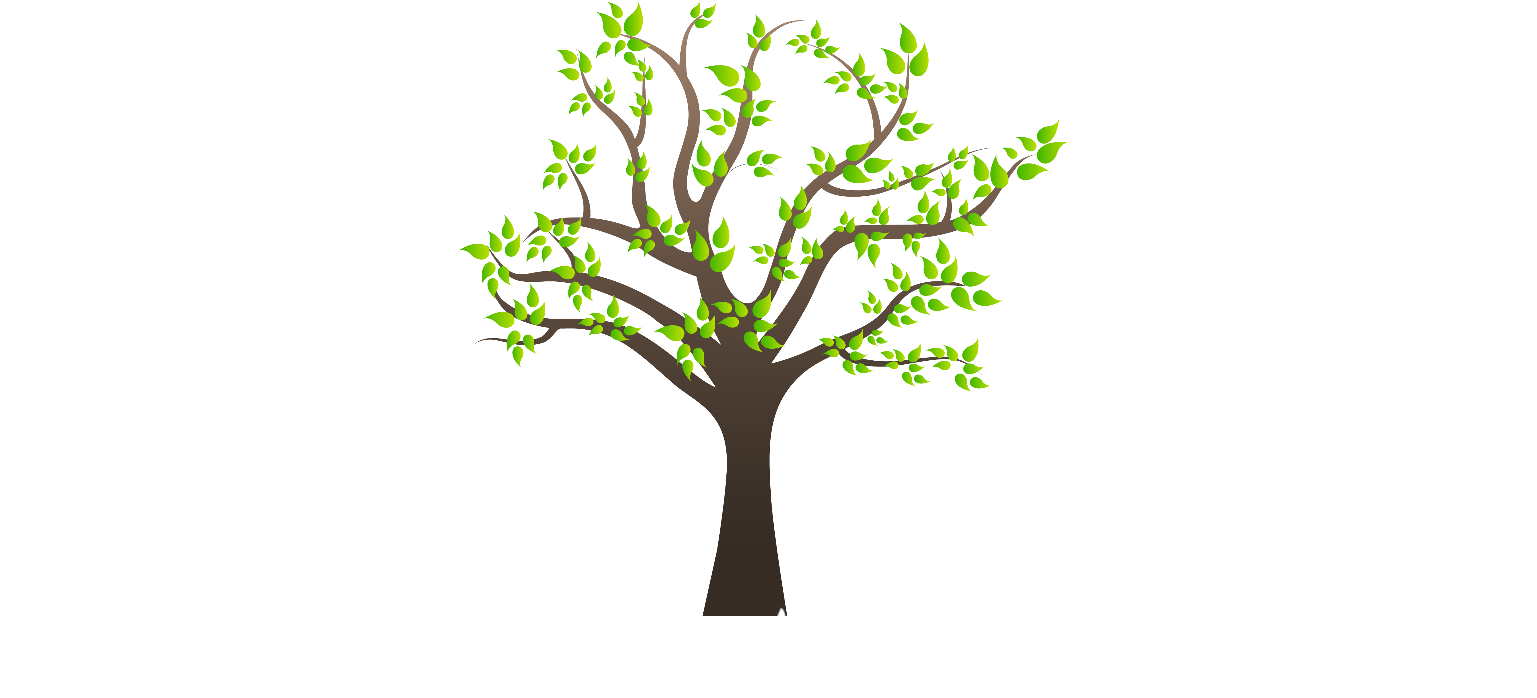 Cedar Creek Logo