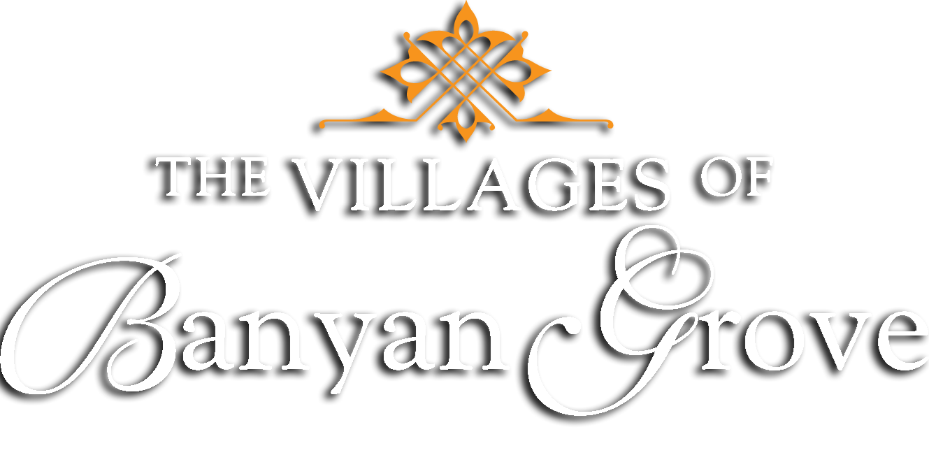Property Logo at The Villages Apartment of Banyan Grove, Boynton Beach, FL