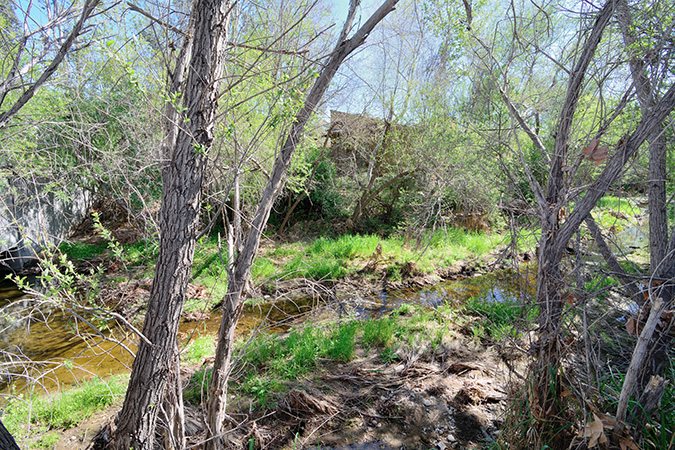 Gallery Photo 6