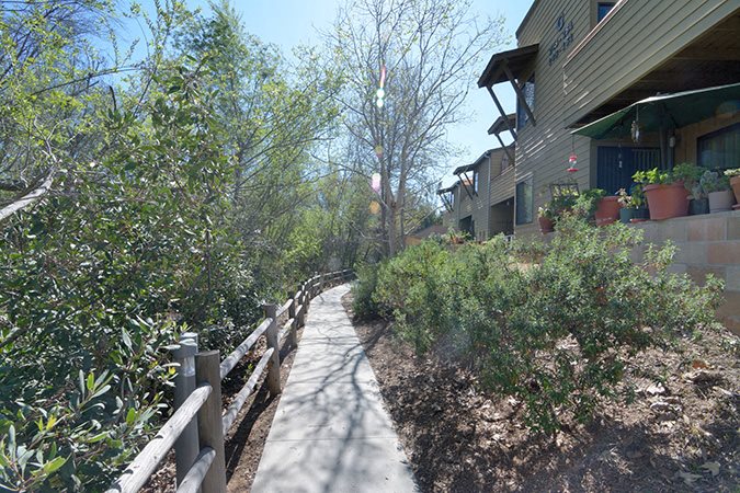 Gallery Photo 7