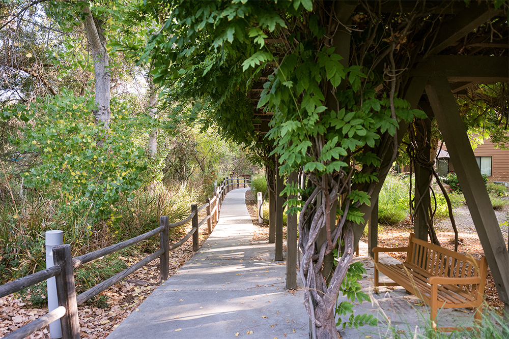 Photos and Video of Brookview Village in Poway, CA