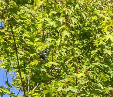 Barbara Maher Entrance