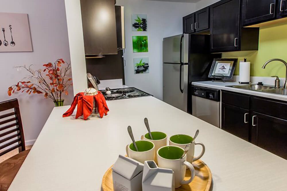 300 at the circle apartments in lexingotn ky