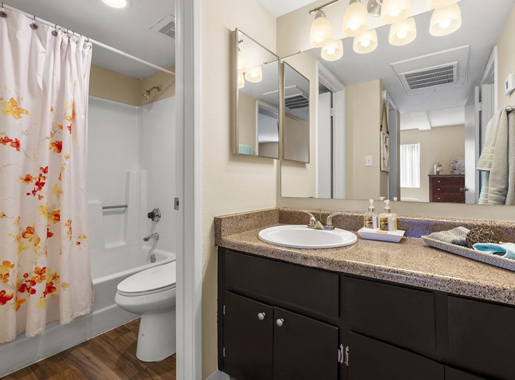 Bathroom with Spacious Counterspace
